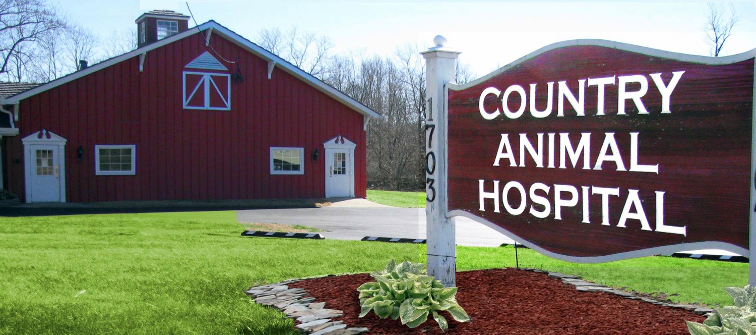 Country Animal Hospital and Pet Boarding - Louisville, KY - Home